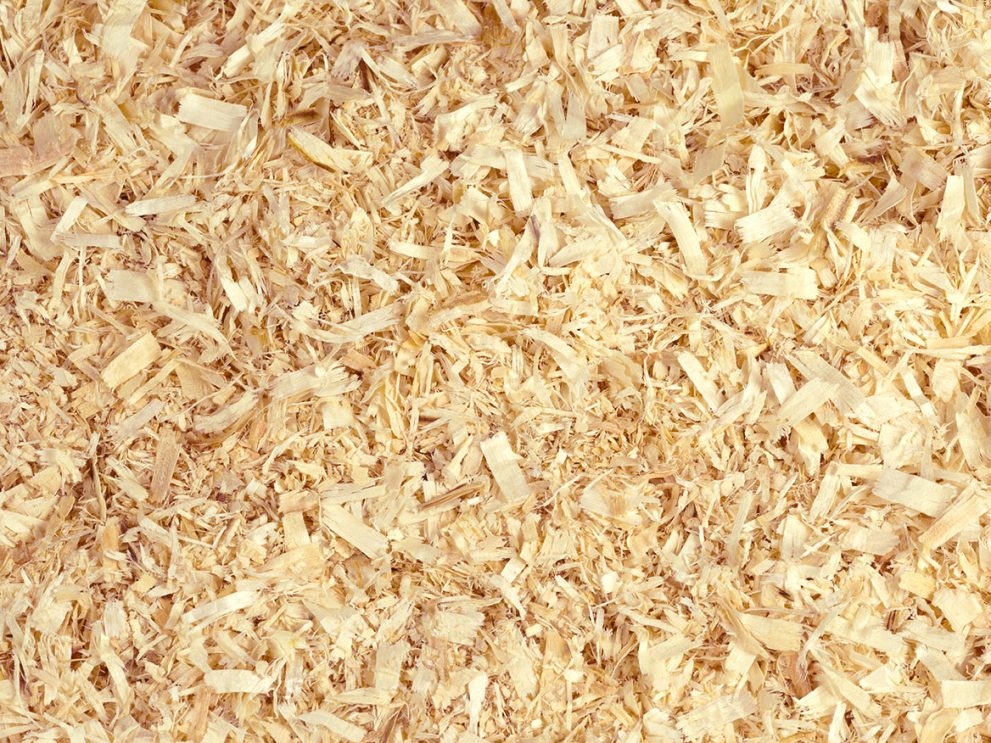 Copeaux de bois Hobelspaene