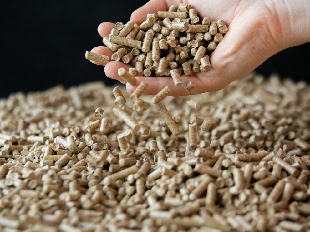 _MG_0439_bearbeitet Pellets de bois
