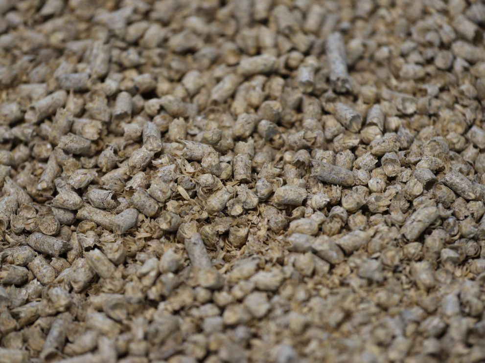 _MG_0872 Issues d'avoine pellets